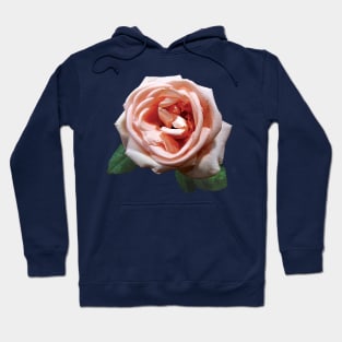 Roses - Delicate Peach-Colored Rose Hoodie